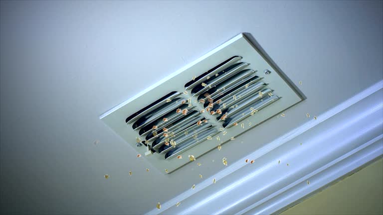Best Affordable Duct Cleaning Services  in Seward, AK