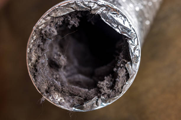 Best Ventilation Cleaning Services  in Seward, AK