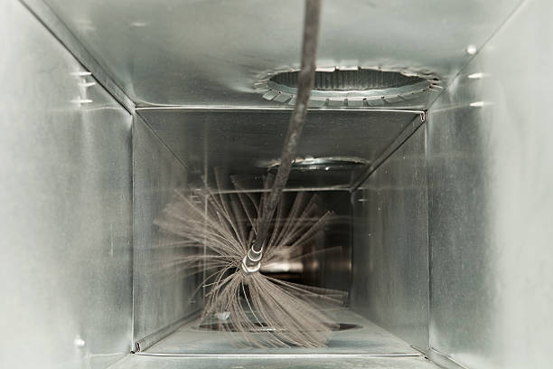 Air Duct Mold Removal in AK
